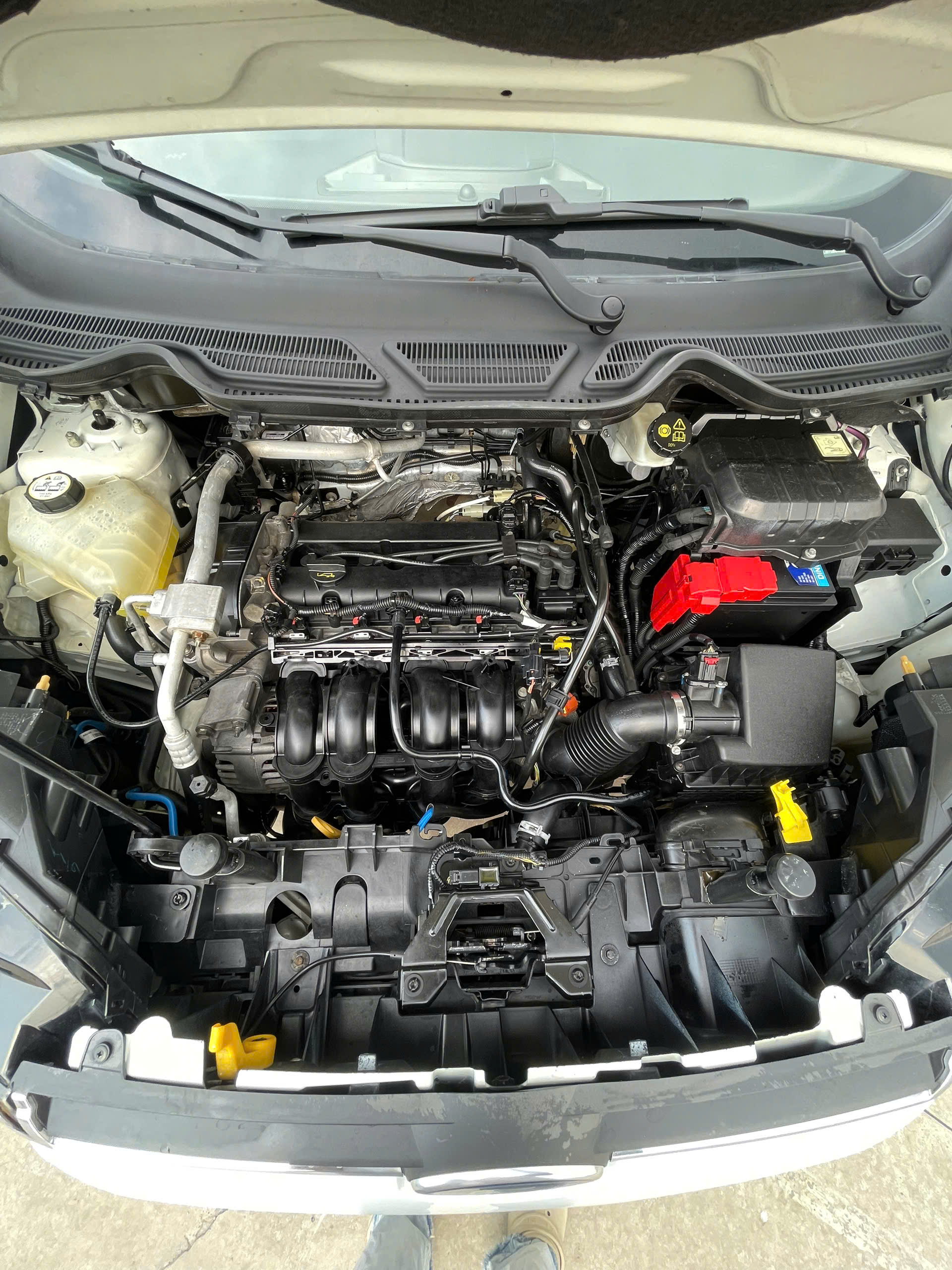 Ford EcoSport 2016 8